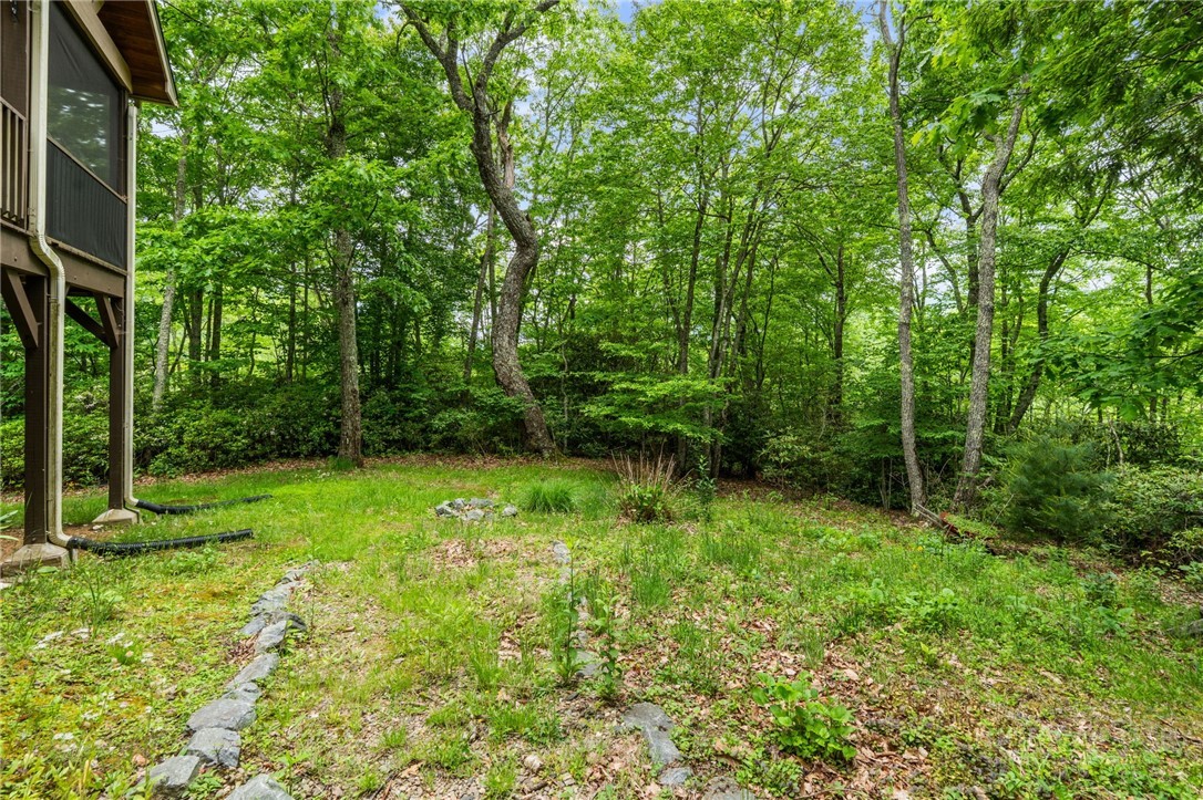 405 Snowridge Road Banner Elk, NC 28604 - Photo 36 of 50