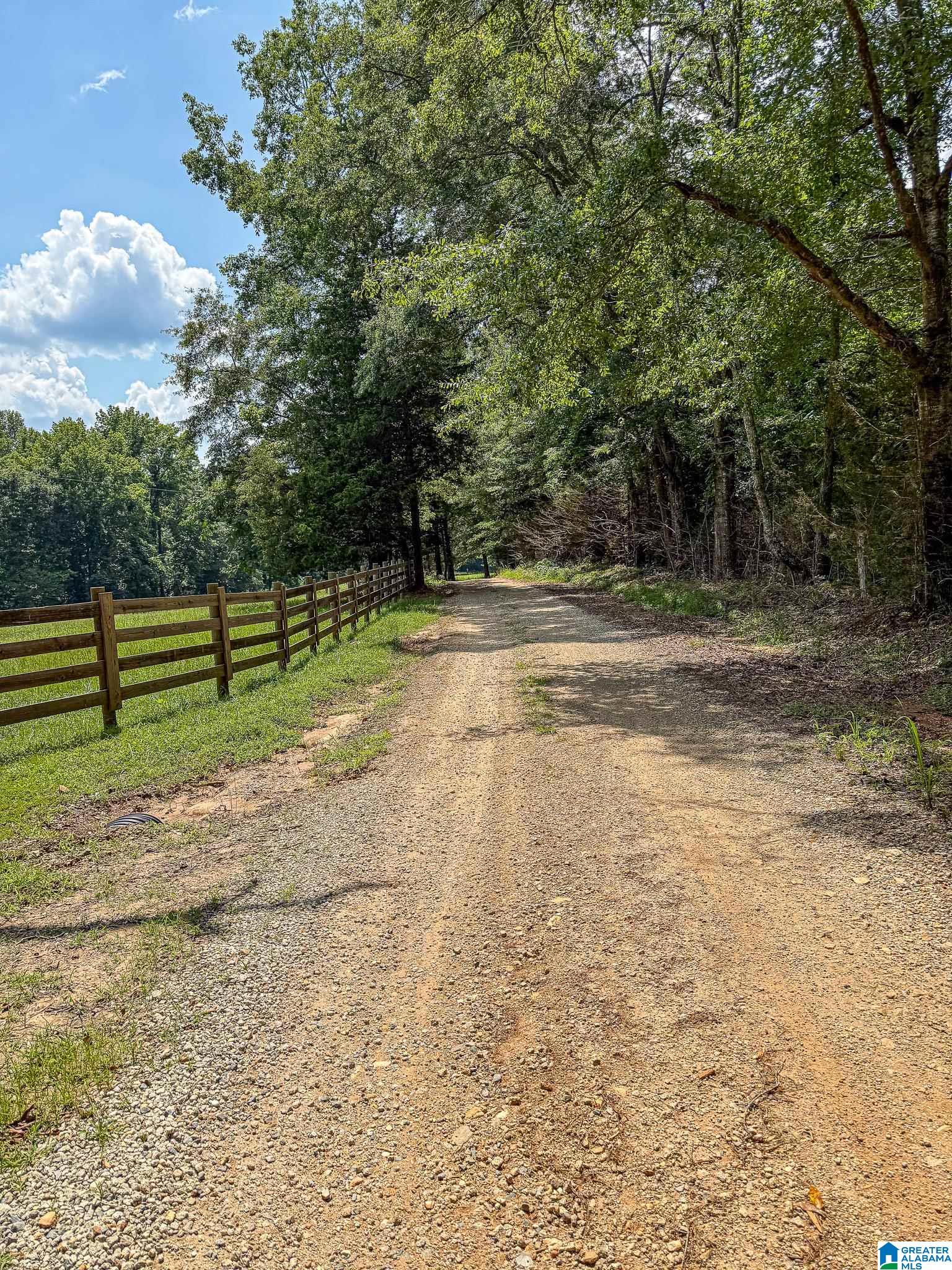 1540 Pepper Road, Unit 49 / ACRES Ashland, AL 36251 - Photo 30 of 31