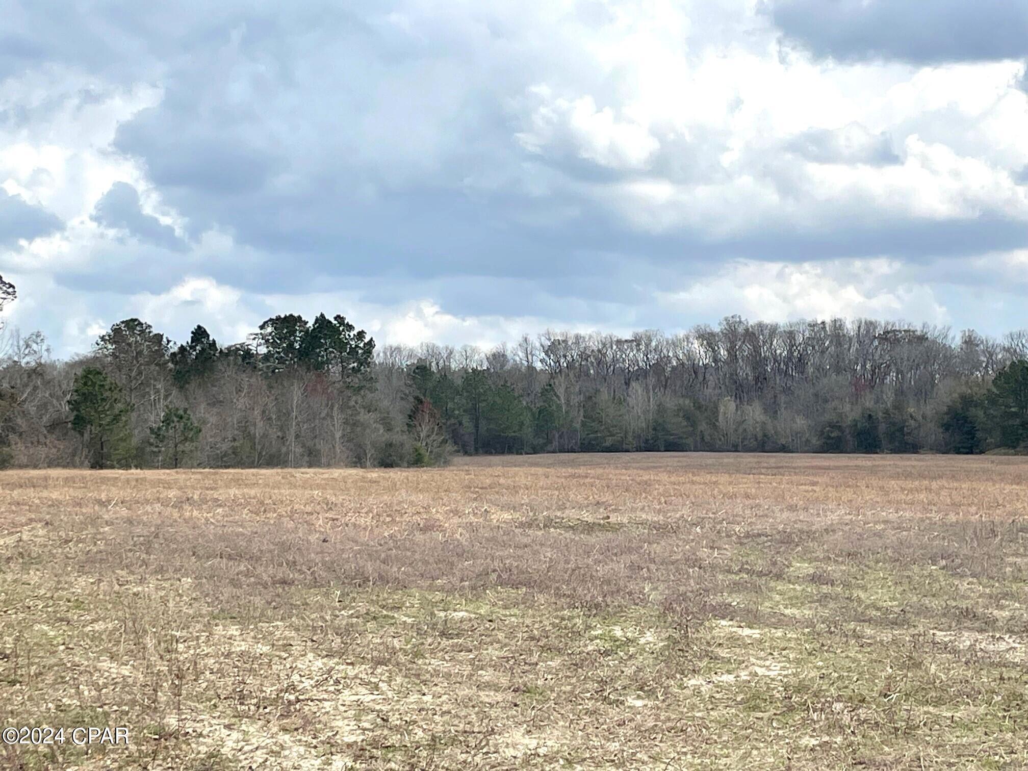 335-acres R M Ward Road Ponce de Leon, FL 32455 - Photo 19 of 37 Gallery Image 19