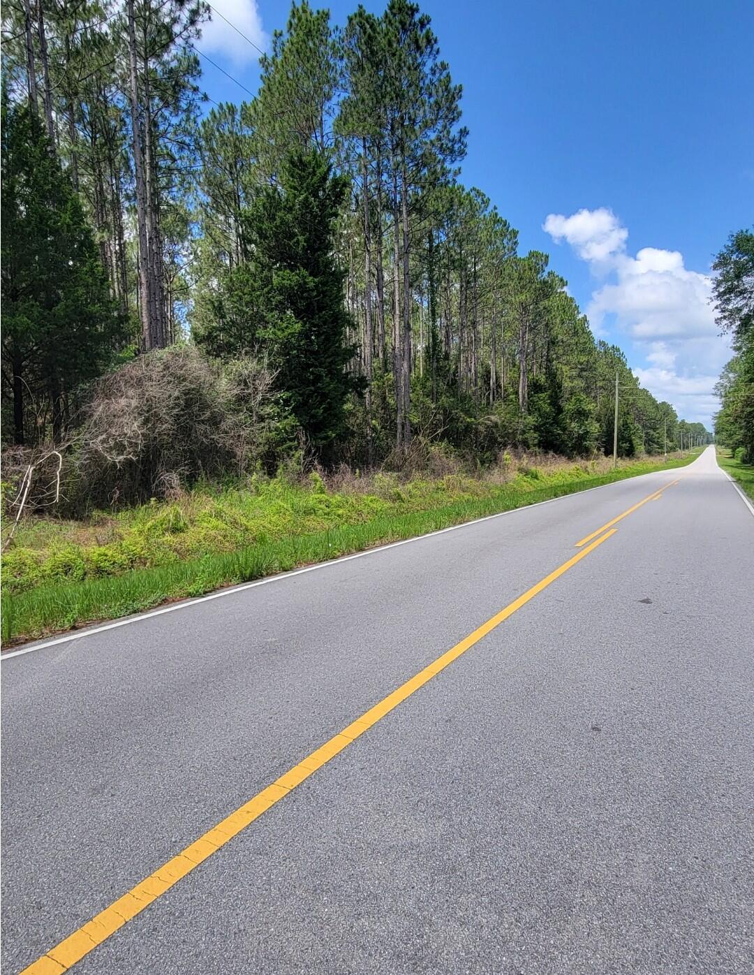 0 Melton Road Baker, FL 32531 - Photo 1 of 7 Hwy View