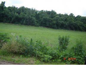 Xxx Whispering Pines Road Neosho, MO 64850 - Photo 1 of 1 160384