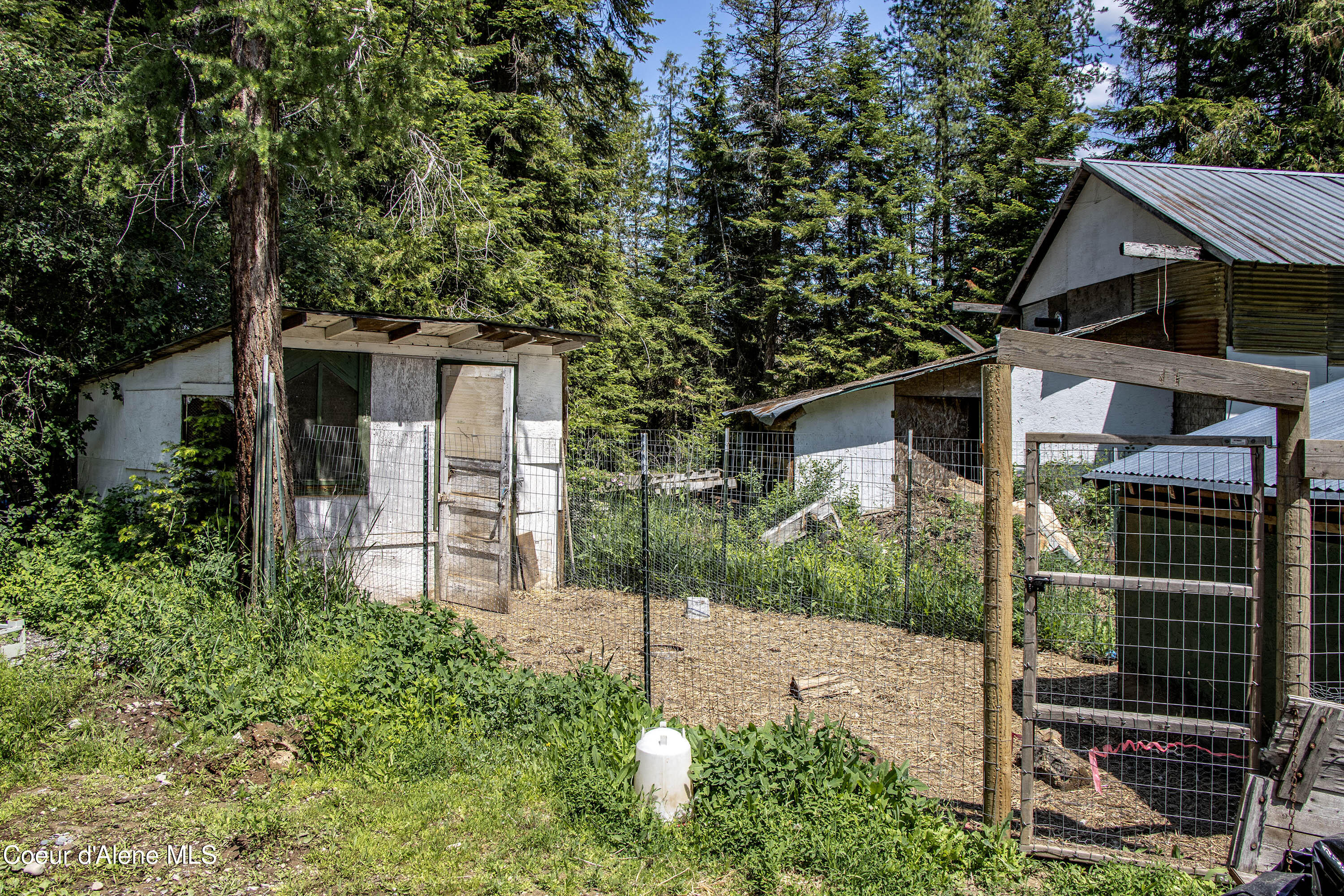 245 Lost Creek Road Priest River, ID 83856 - Photo 14 of 61 IMG_3293