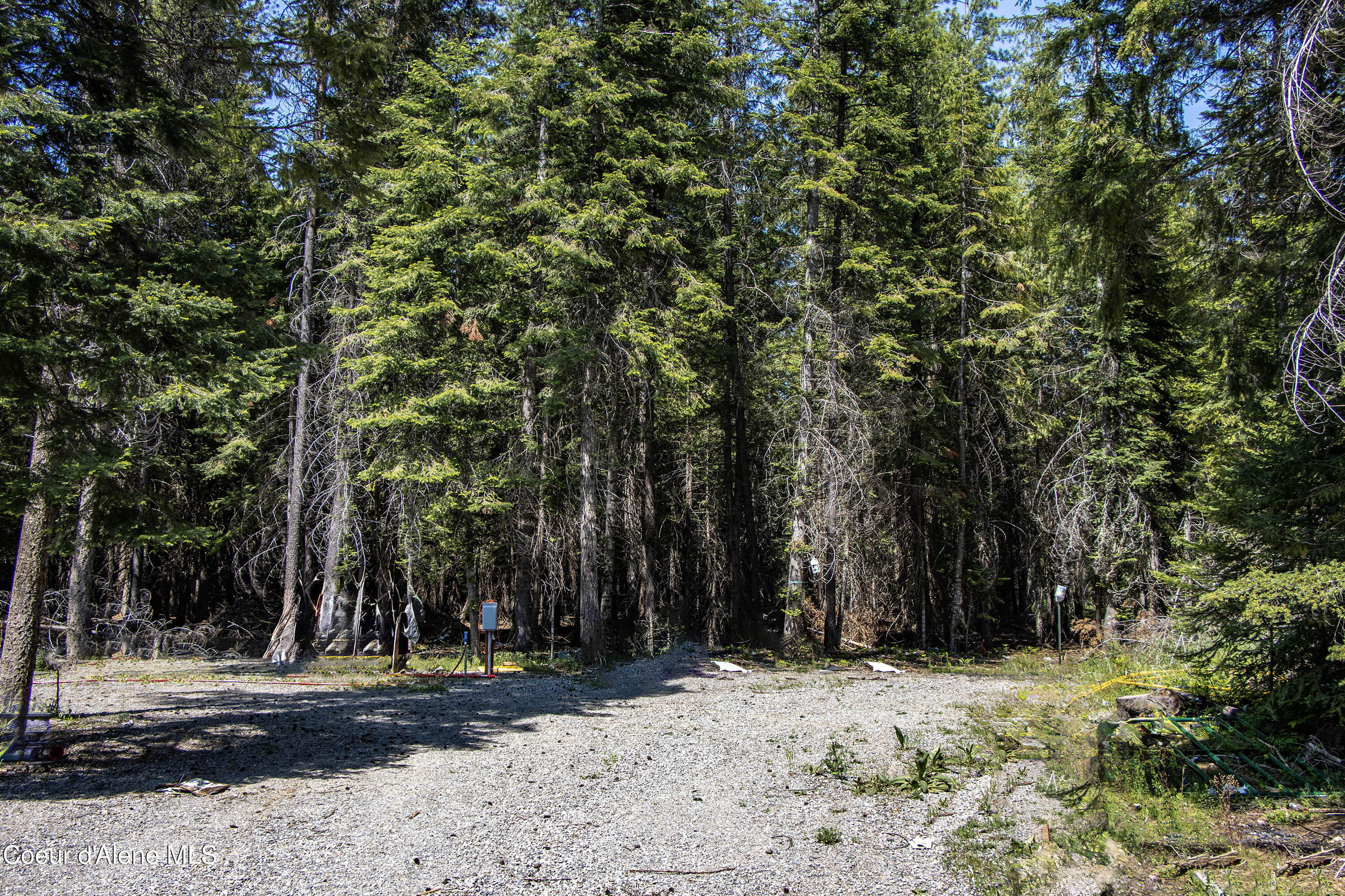 245 Lost Creek Road Priest River, ID 83856 - Photo 20 of 61 IMG_3304