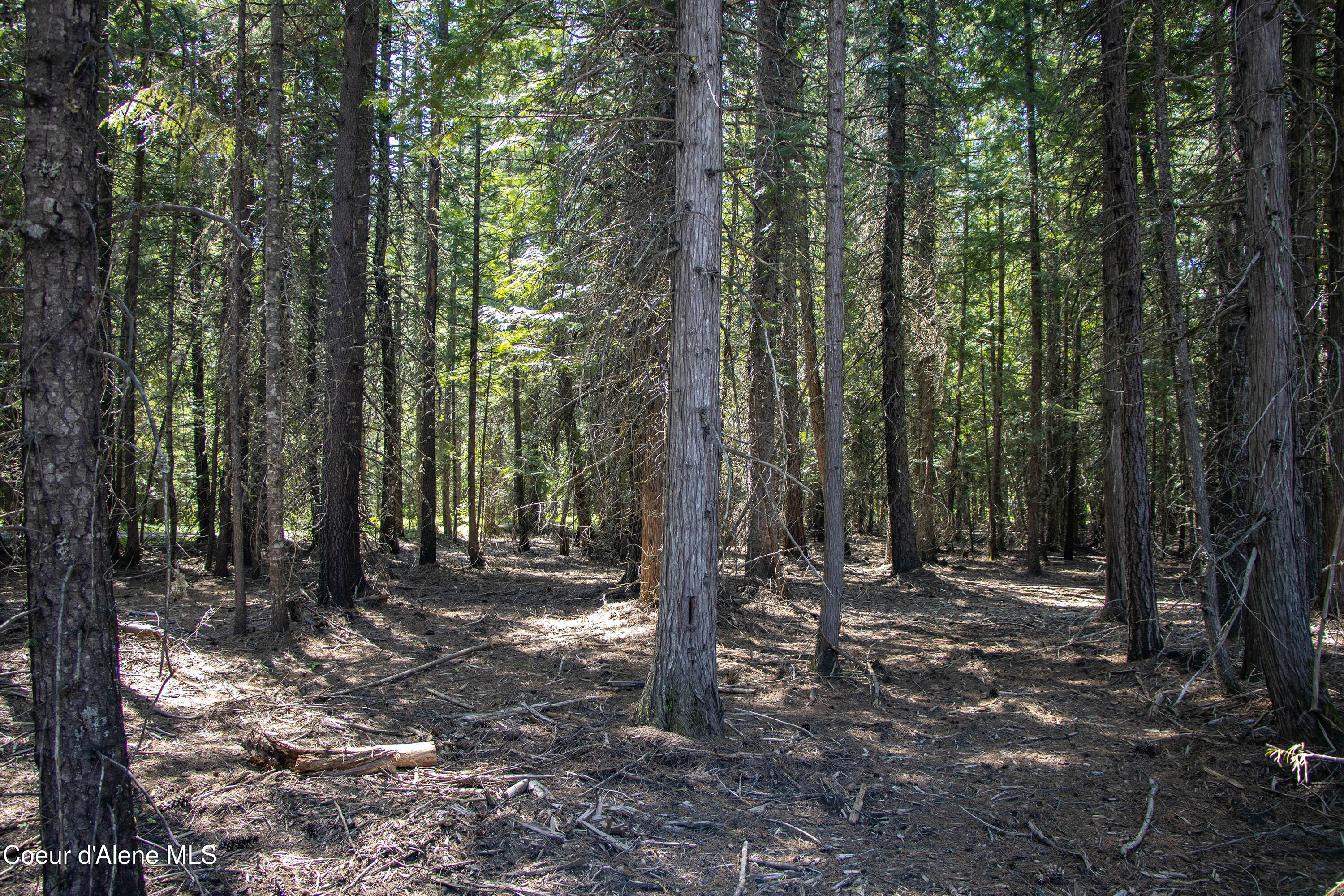 245 Lost Creek Road Priest River, ID 83856 - Photo 22 of 61 IMG_3307