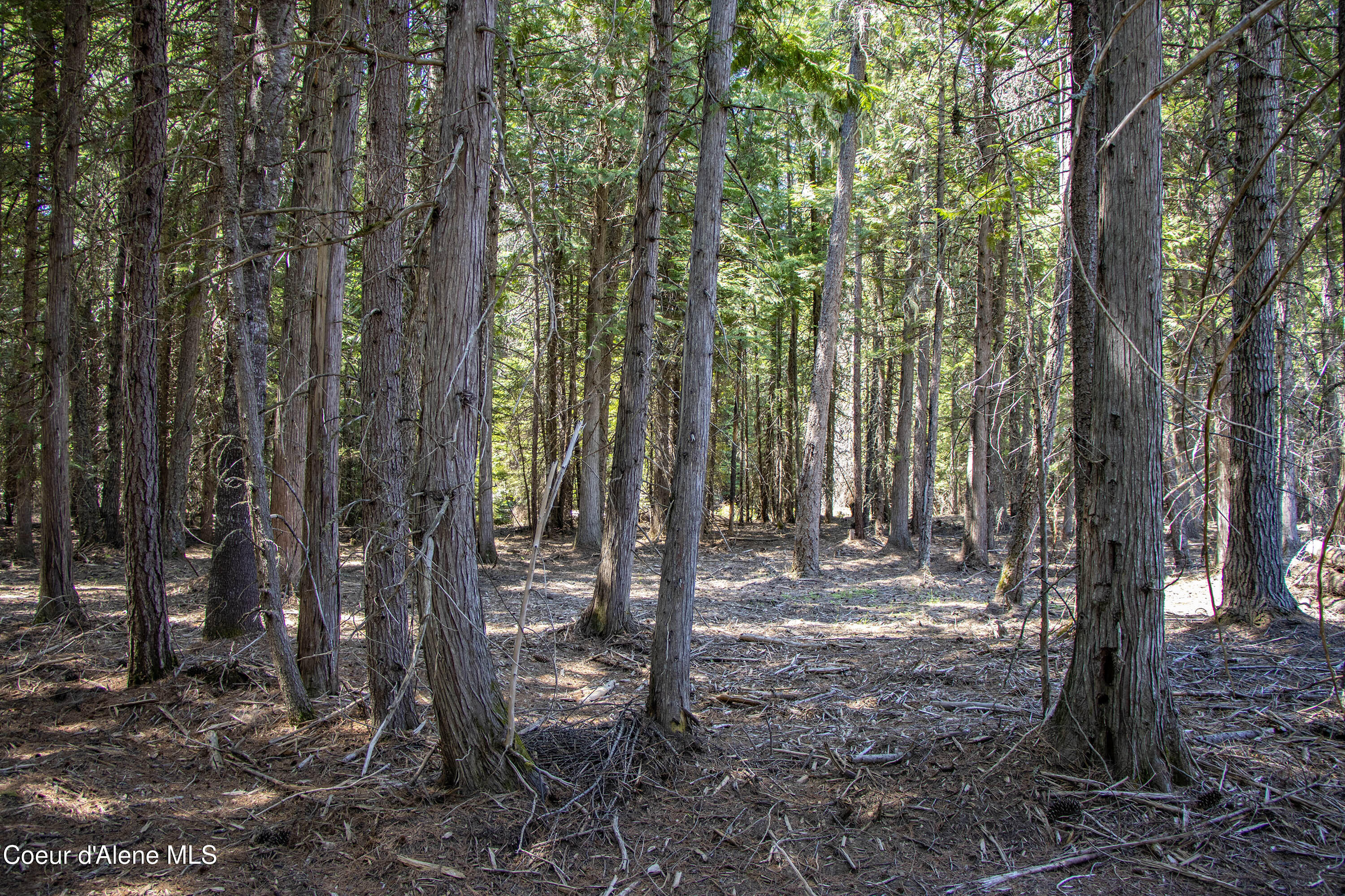 245 Lost Creek Road Priest River, ID 83856 - Photo 23 of 61 IMG_3308