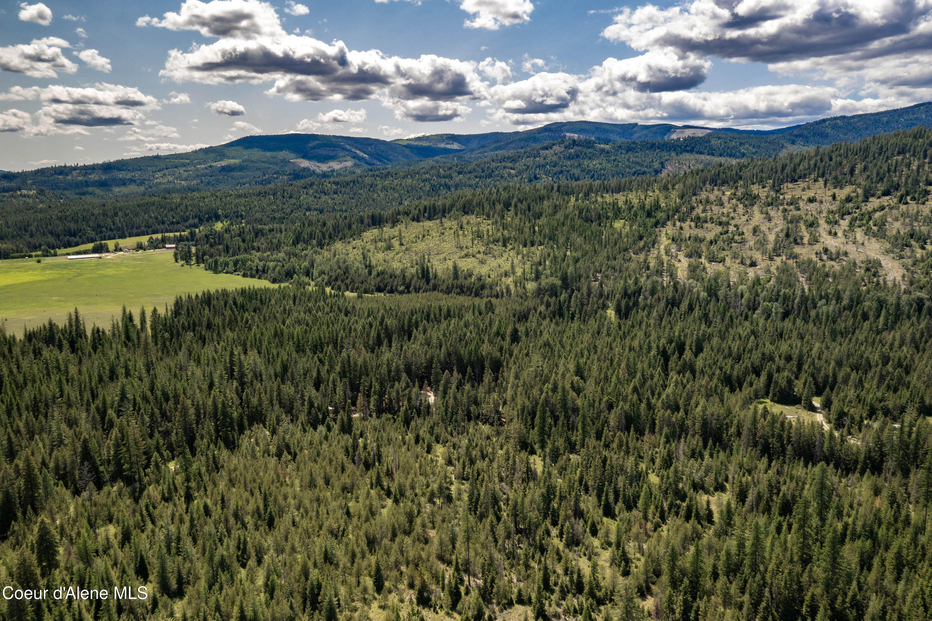 245 Lost Creek Road Priest River, ID 83856 - Photo 9 of 61 DJI_0306