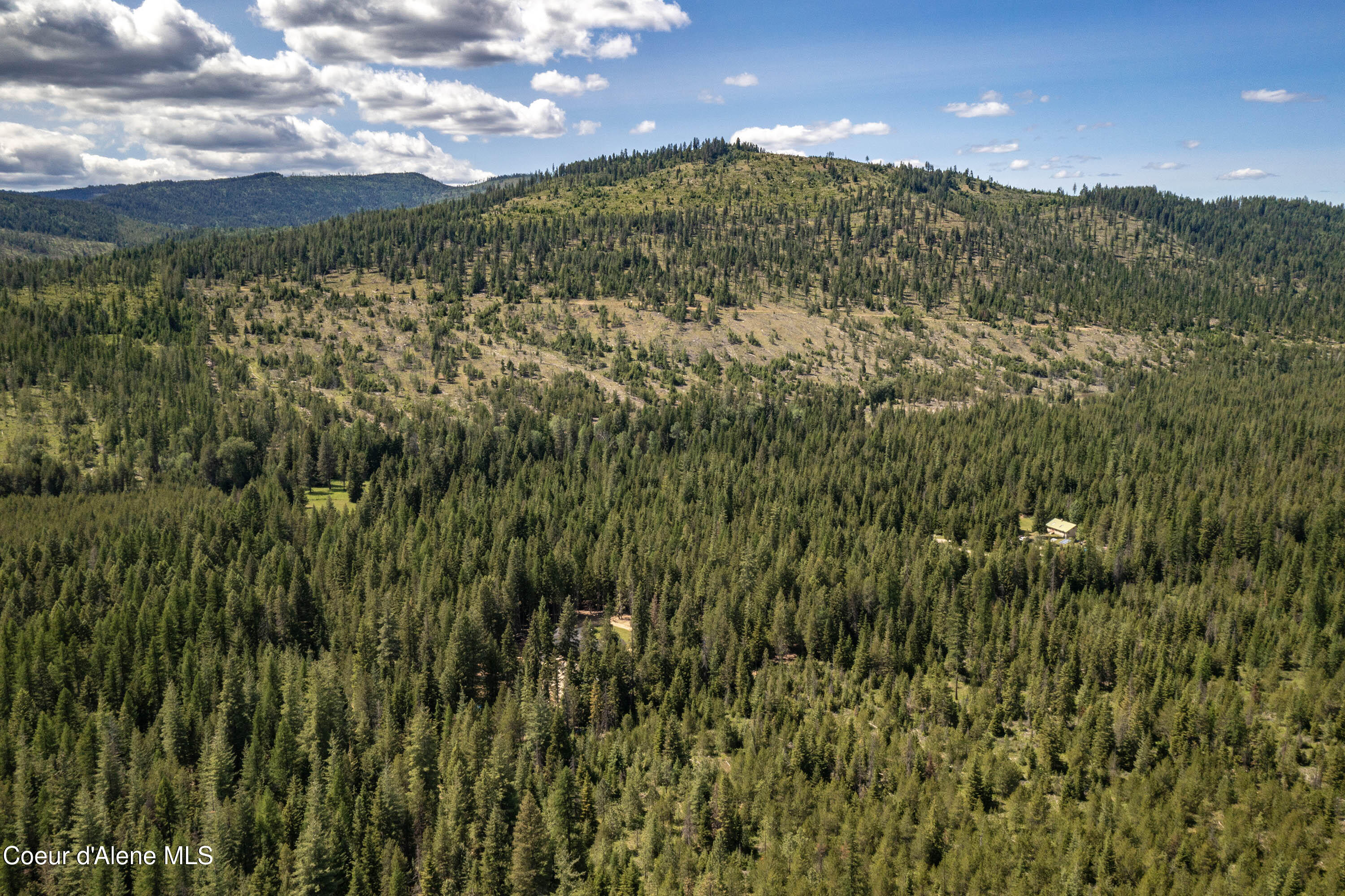 245 Lost Creek Road Priest River, ID 83856 - Photo 10 of 61 DJI_0310