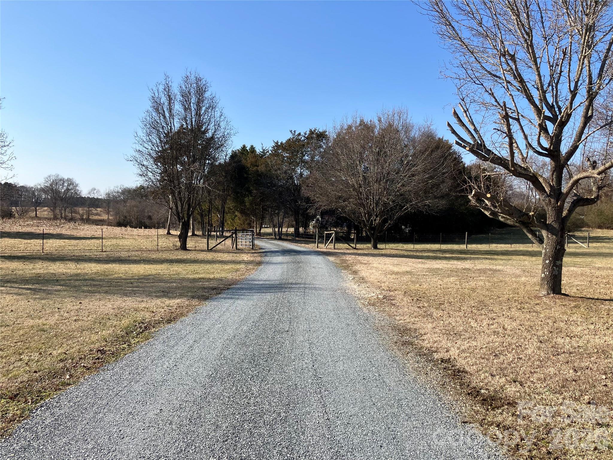 13215 Pine Bluff Road Midland, NC 28107 - Photo 14 of 48 a view of yard with trees