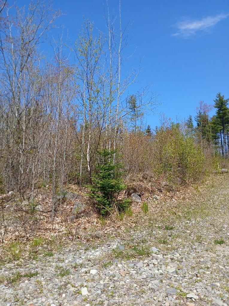 40 A Eleanor Mae Road Cherryfield, ME 04622 - Photo 4 of 15 20250513_122849_resized_1