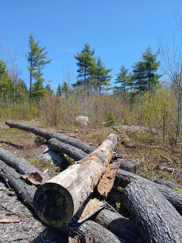 $54,900 | 40 A Eleanor Mae Road, Cherryfield, ME 04622