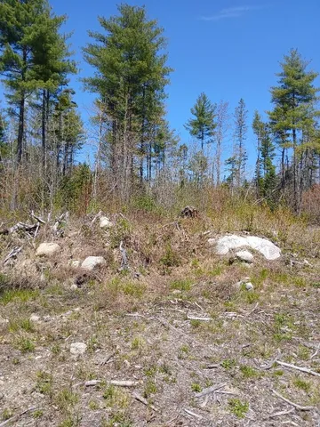 $54,900 | 40 A Eleanor Mae Road, Cherryfield, ME 04622