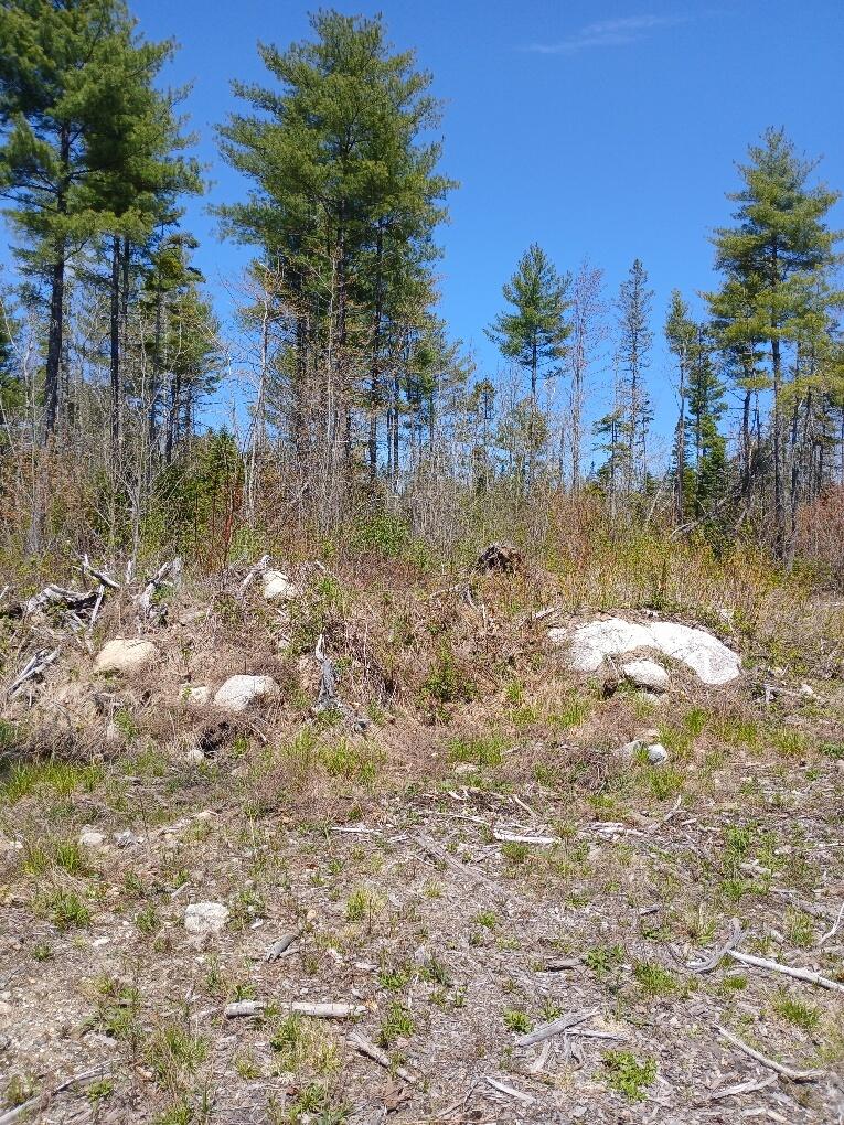 40 A Eleanor Mae Road Cherryfield, ME 04622 - Photo 10 of 15 20250513_123001_resized_1