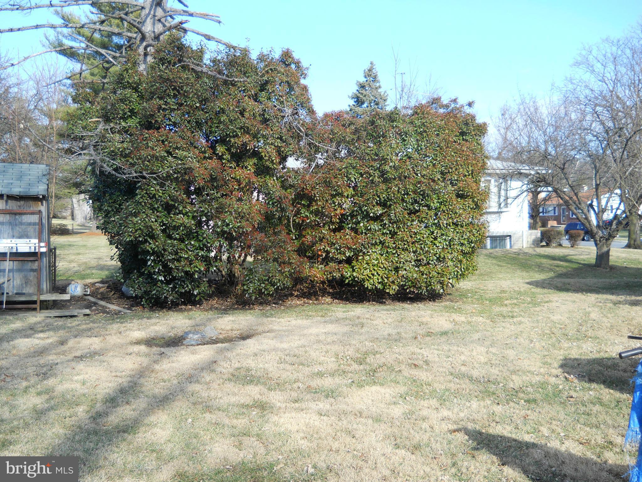 3604 Bellmore Road Baltimore, MD 21244 - Photo 17 of 19 a view of a yard with trees
