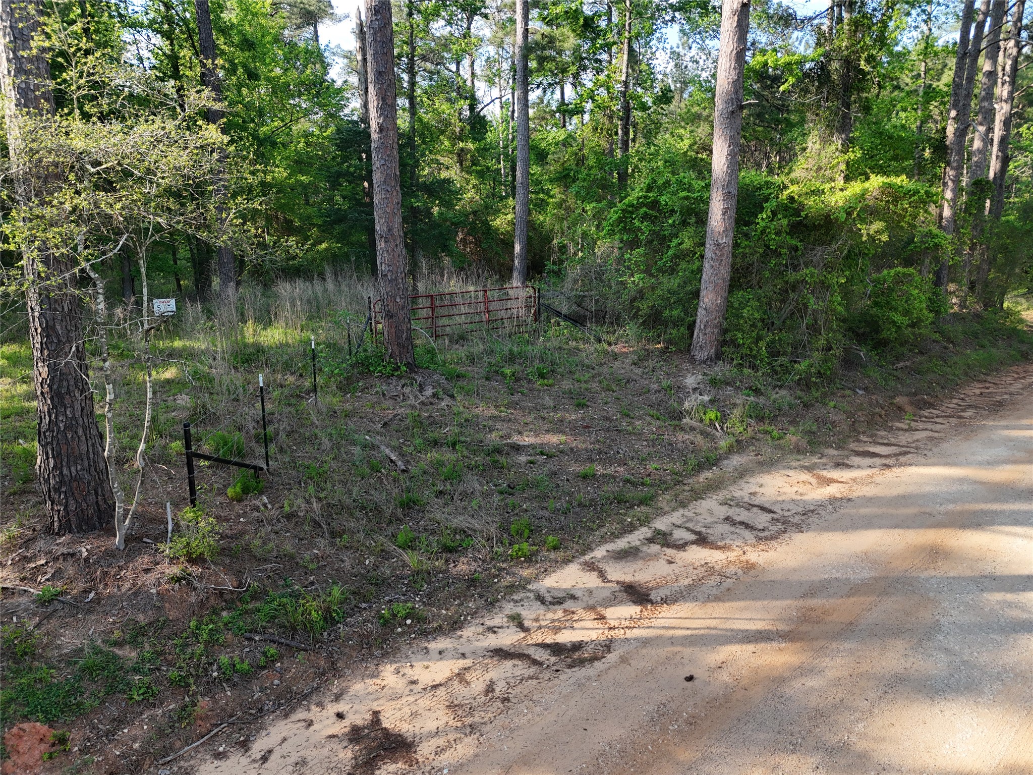 1545 County Road Grapeland, TX 75844 - Photo 12 of 13 a backyard of a house with lots of green space