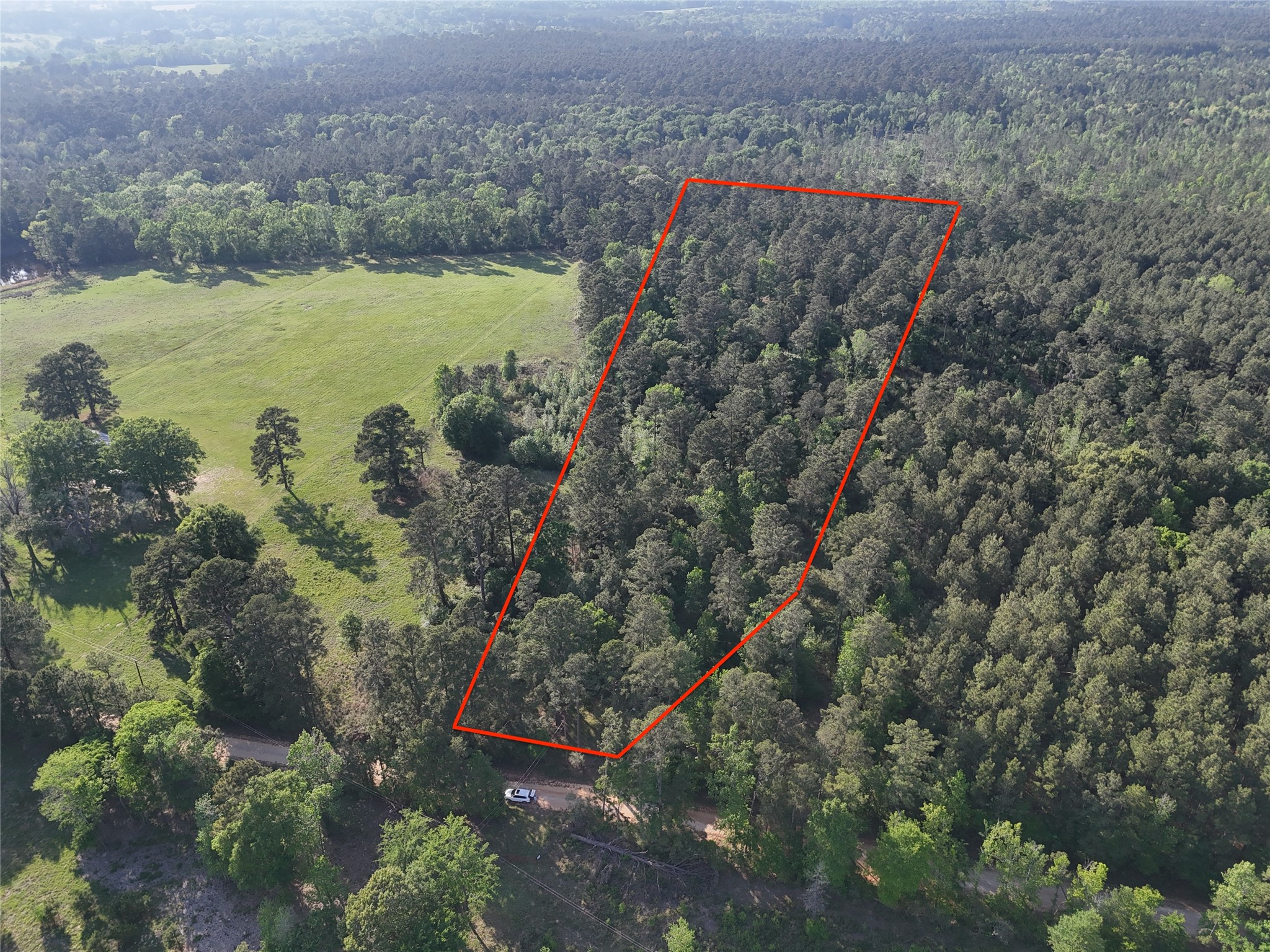 1545 County Road Grapeland, TX 75844 - Photo 4 of 13 a view of a forest with a lake and mountain view