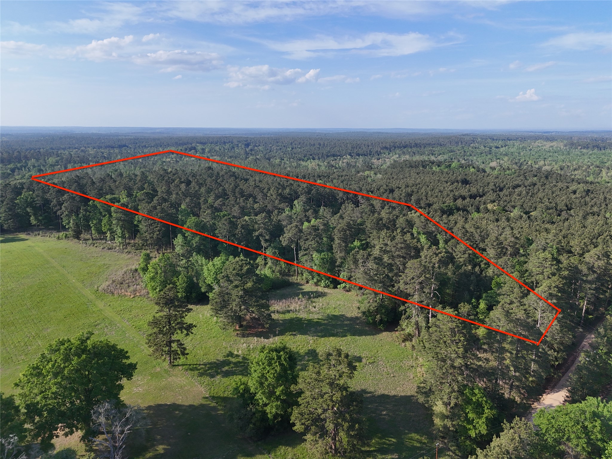 1545 County Road Grapeland, TX 75844 - Photo 6 of 13 a view of a lake with a city