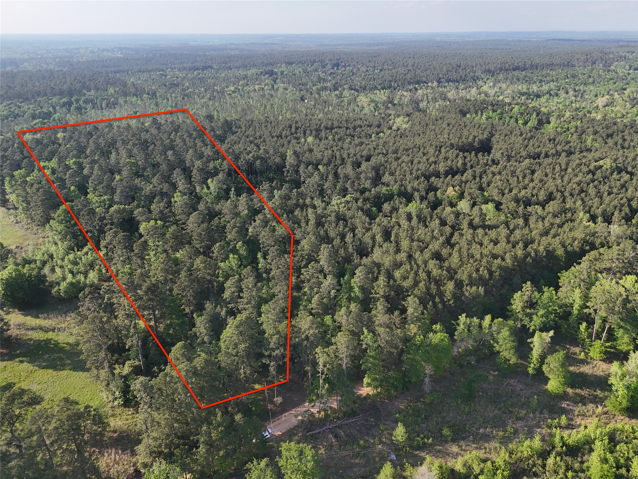 1545 County Road Grapeland, TX 75844 - Photo 7 of 13 a view of a forest with a forest