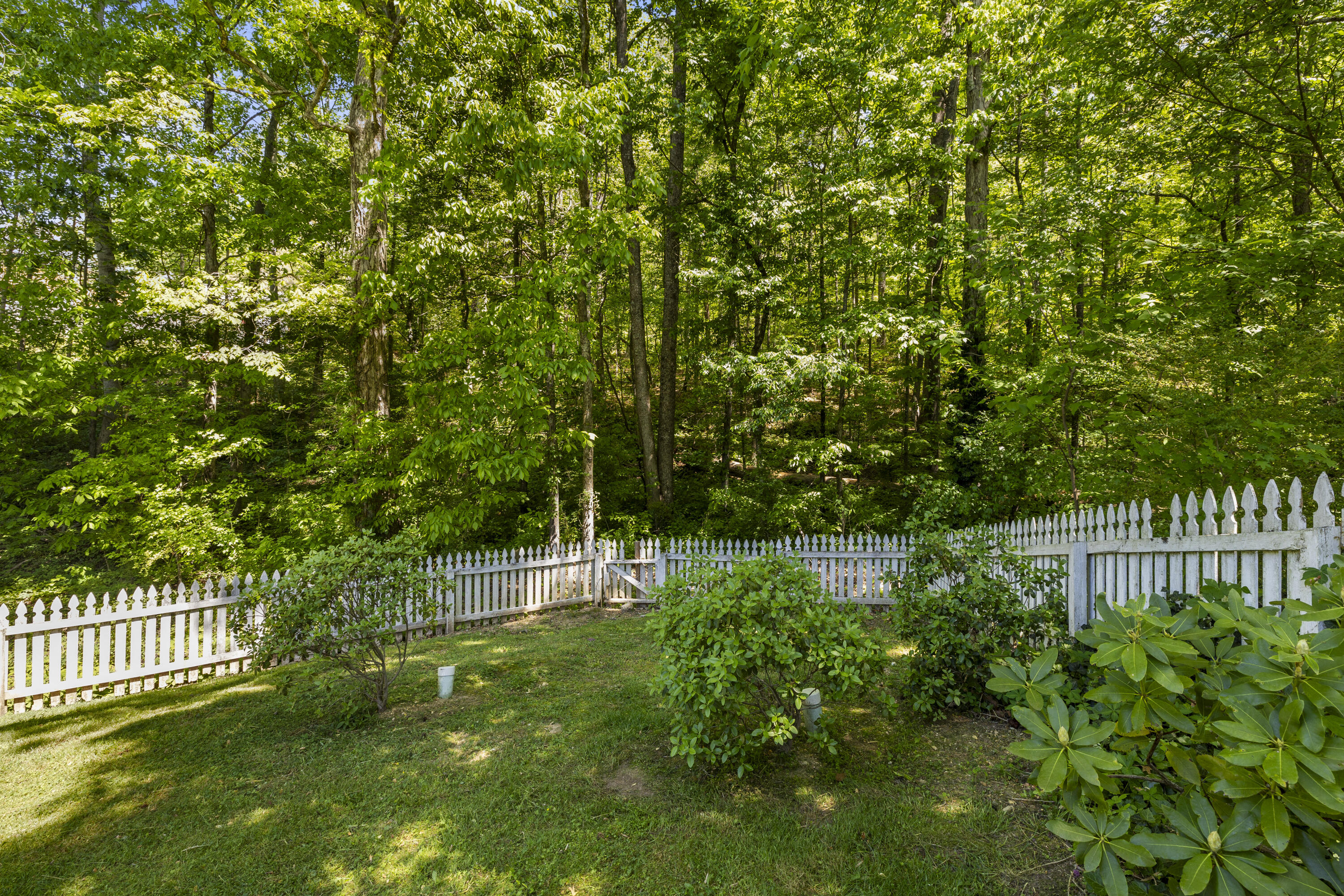 477 Middle View Drive Ringgold, GA 30736 - Photo 31 of 33 Back Yard