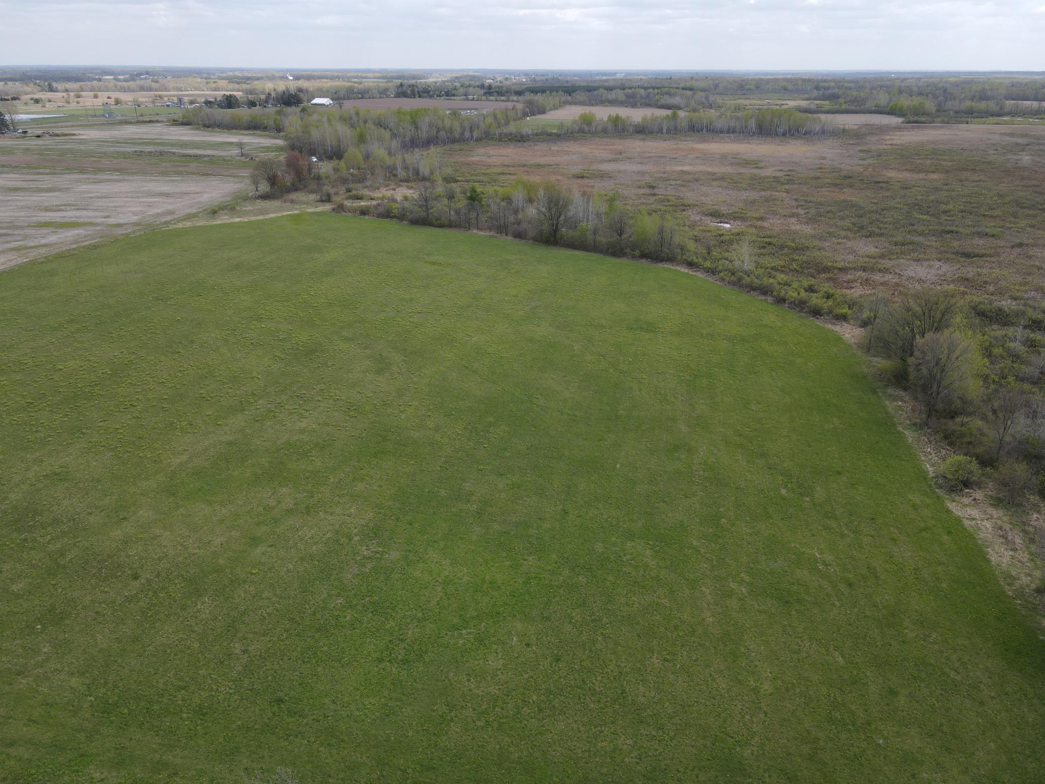 Tbd Homestead Road Conrath, WI 54731 - Photo 6 of 12