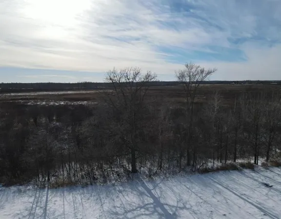 $84,900 | Tbd Homestead Road, Conrath, WI 54731