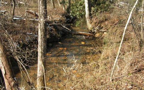 Lot Kyle Lot Kyle Creek Blue Ridge, GA 30513 - Photo 1 of 1 Main View