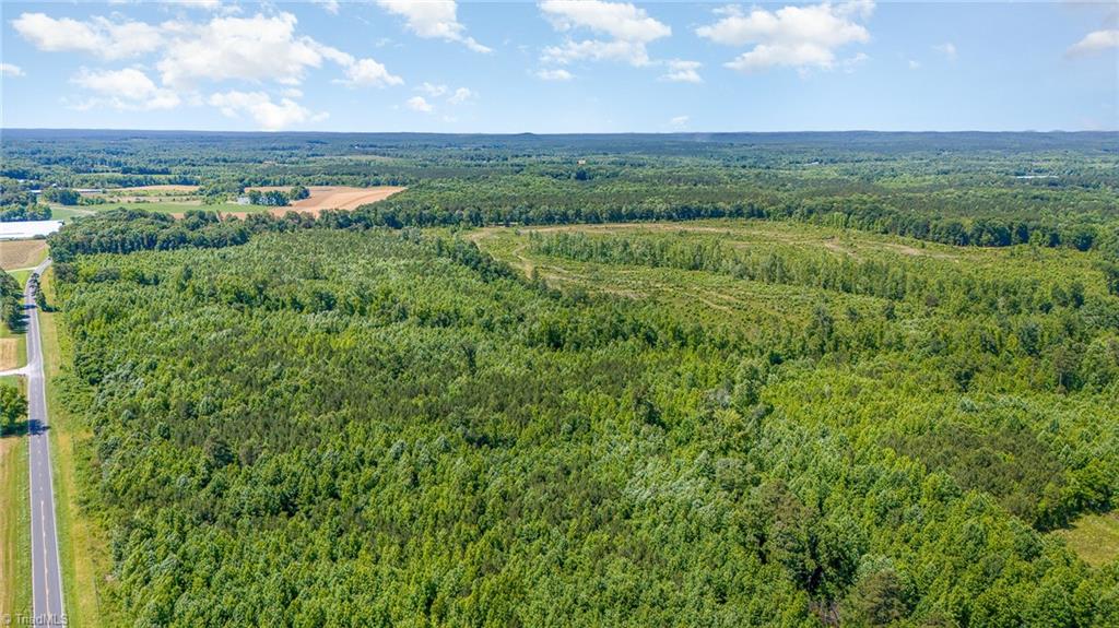 0 Ether Road Star, NC 27356 - Photo 11 of 14