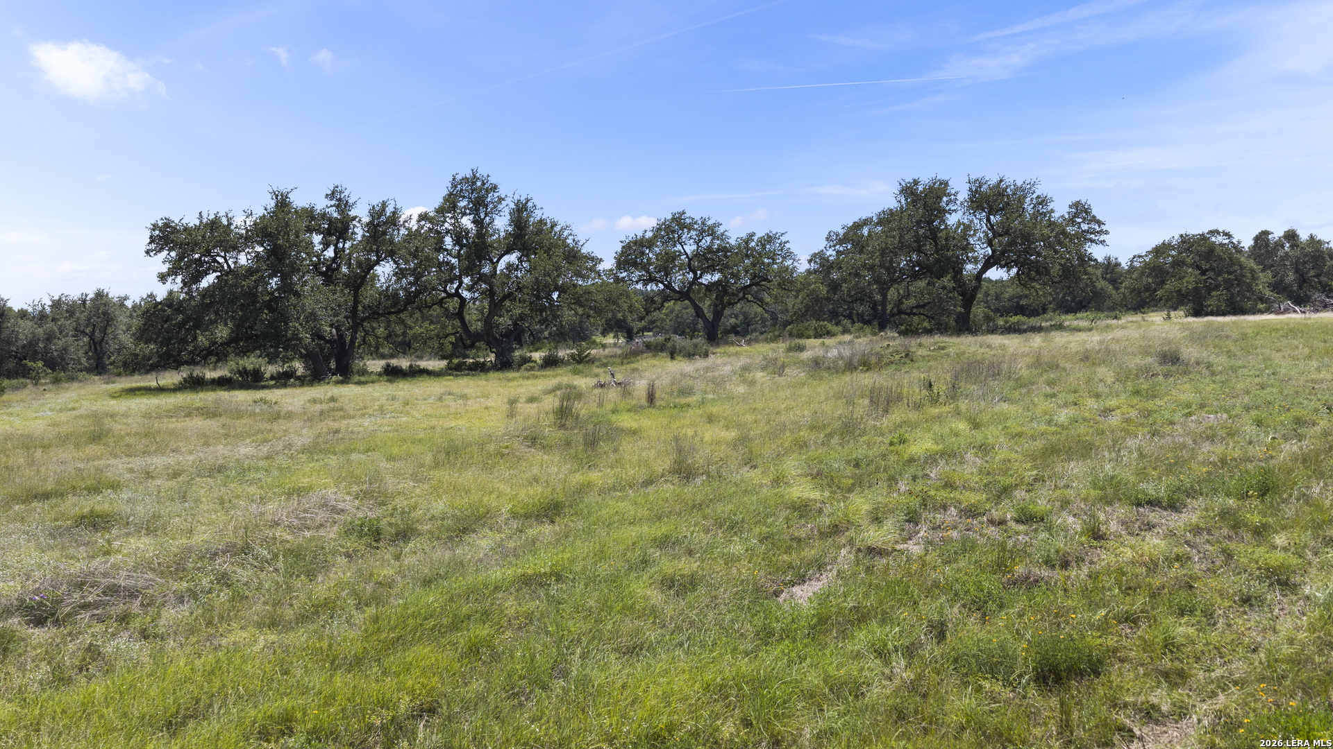 227 Mitchell Drive Spring Branch, TX 78070 - Photo 10 of 26 Gallery Image 10