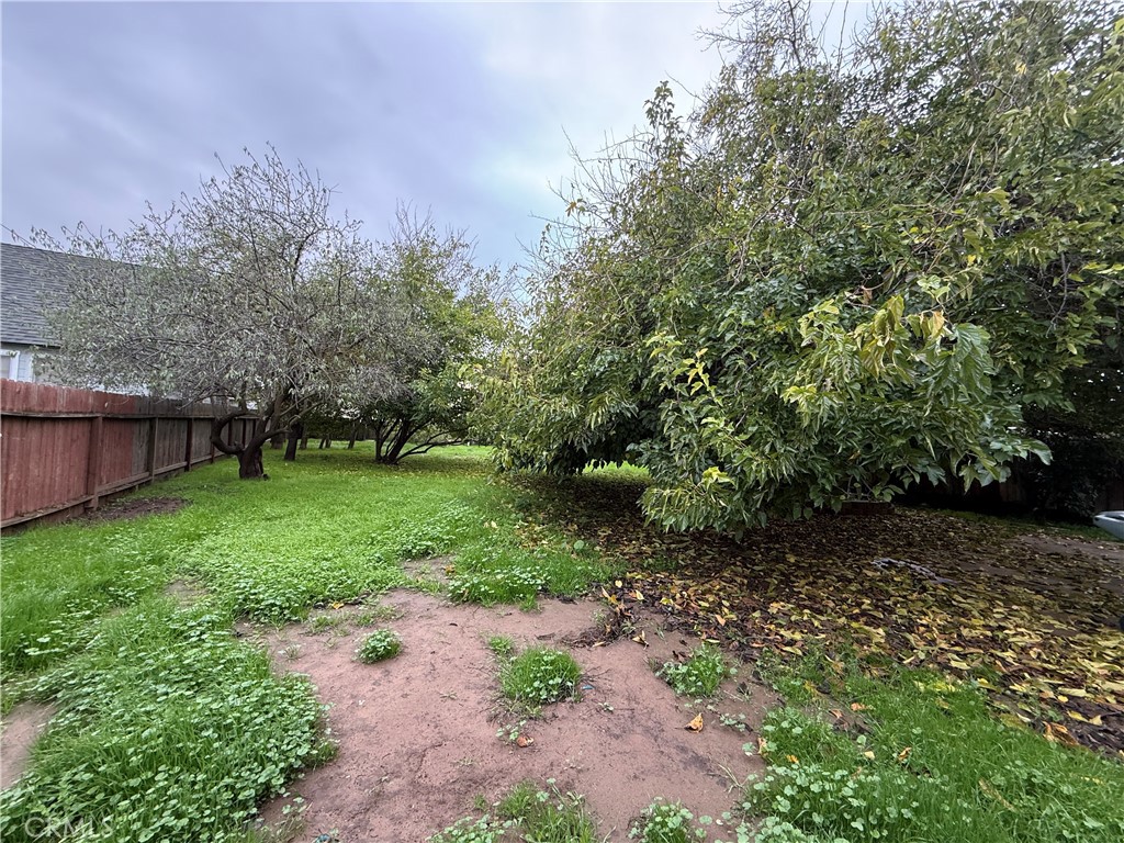 1616 East 21st Street Merced, CA 95340 - Photo 18 of 22 a view of a yard with a tree
