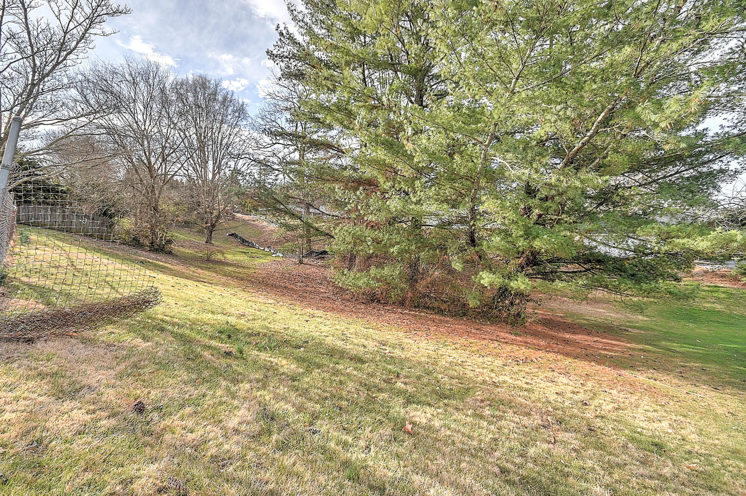 1707 Sundale Road Johnson City, TN 37604 - Photo 43 of 47 Sundale-43