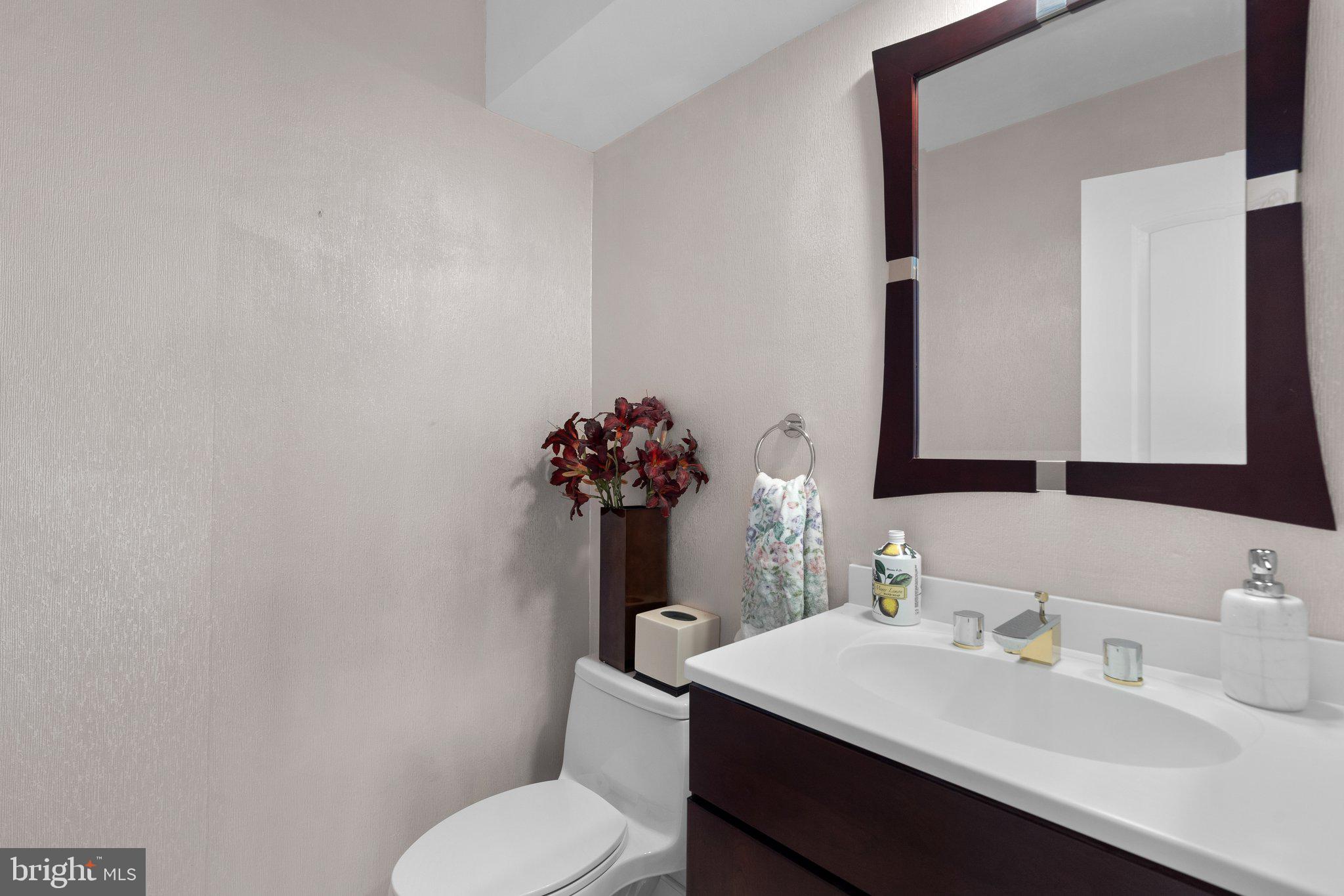 1317 Wedgewood Manor Way Reston, VA 20194 - Photo 16 of 45 Hall bath