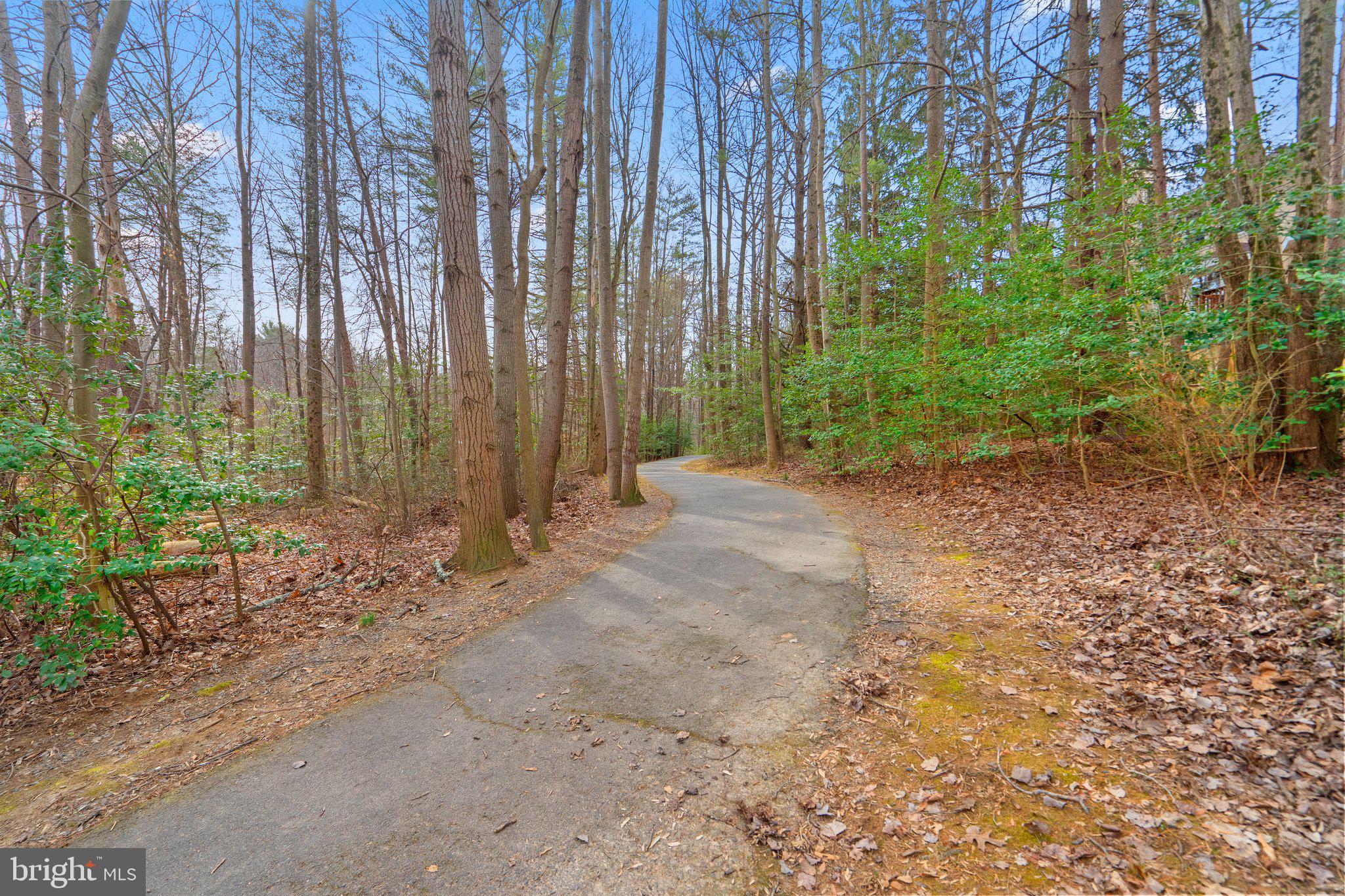 1317 Wedgewood Manor Way Reston, VA 20194 - Photo 40 of 45 Walk/bike trails all over