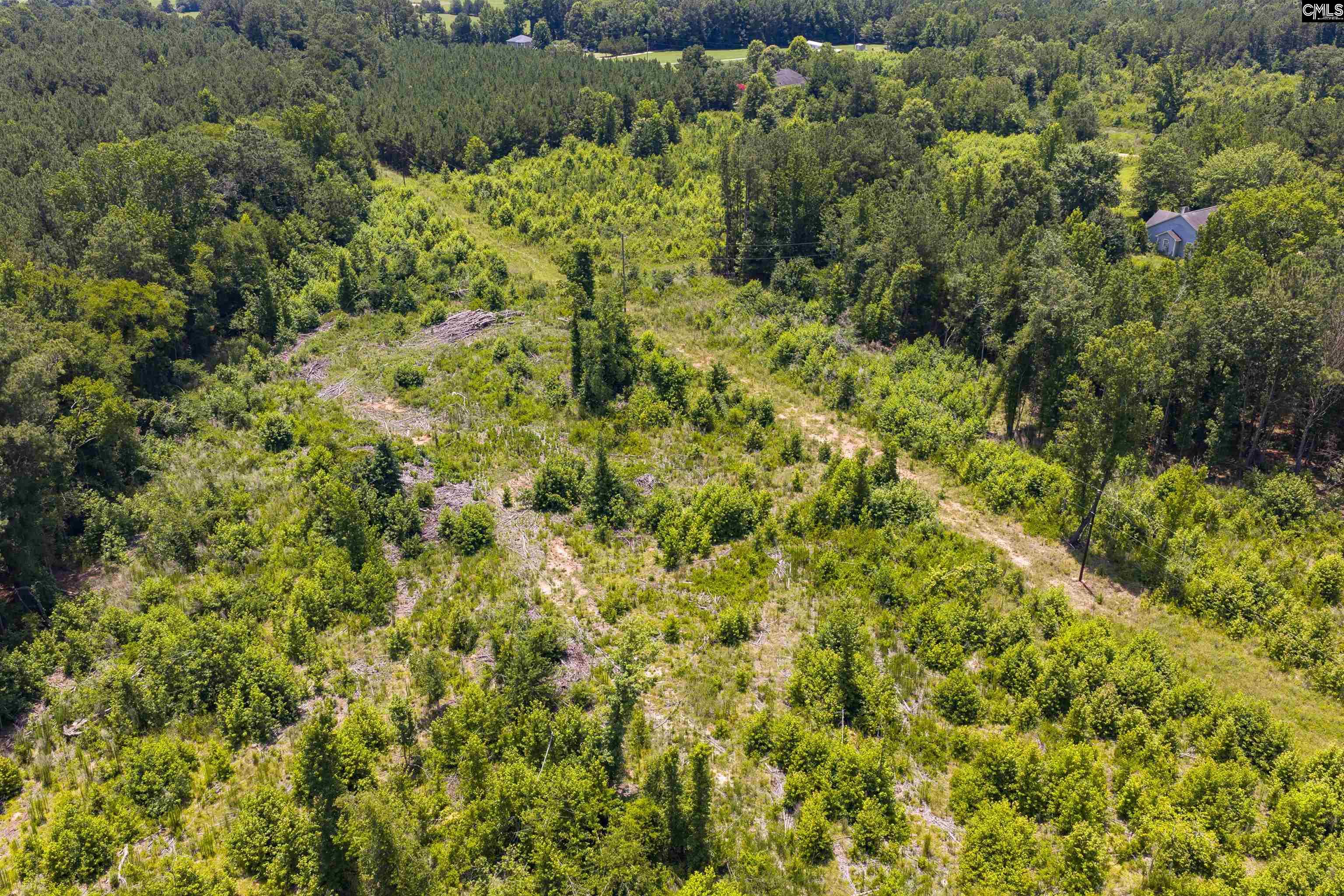 Stevens Road Saluda, SC 29138 - Photo 12 of 23