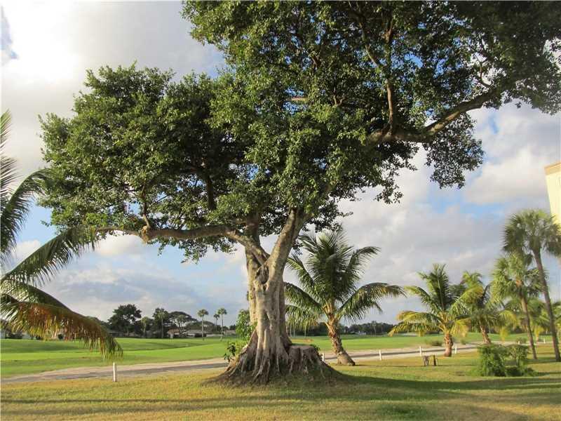 9355 Southwest 8th Street, Unit 325 Boca Raton, FL 33428 - Photo 53 of 112 beautiful tree