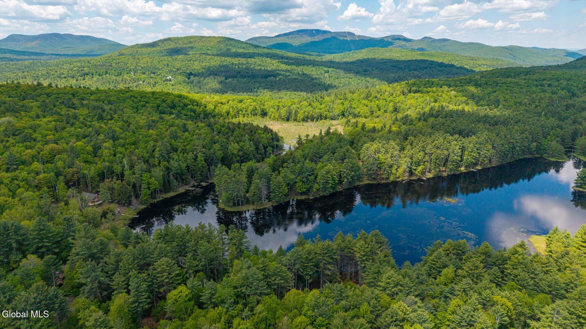 175 Antler Lake Road Johnsburg, NY 12886 - Photo 16 of 54 02-ADK-2