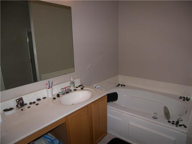 1308 Blue Ridge Lane Brownsburg, IN 46112 - Photo 10 of 17 Gallery Image 10