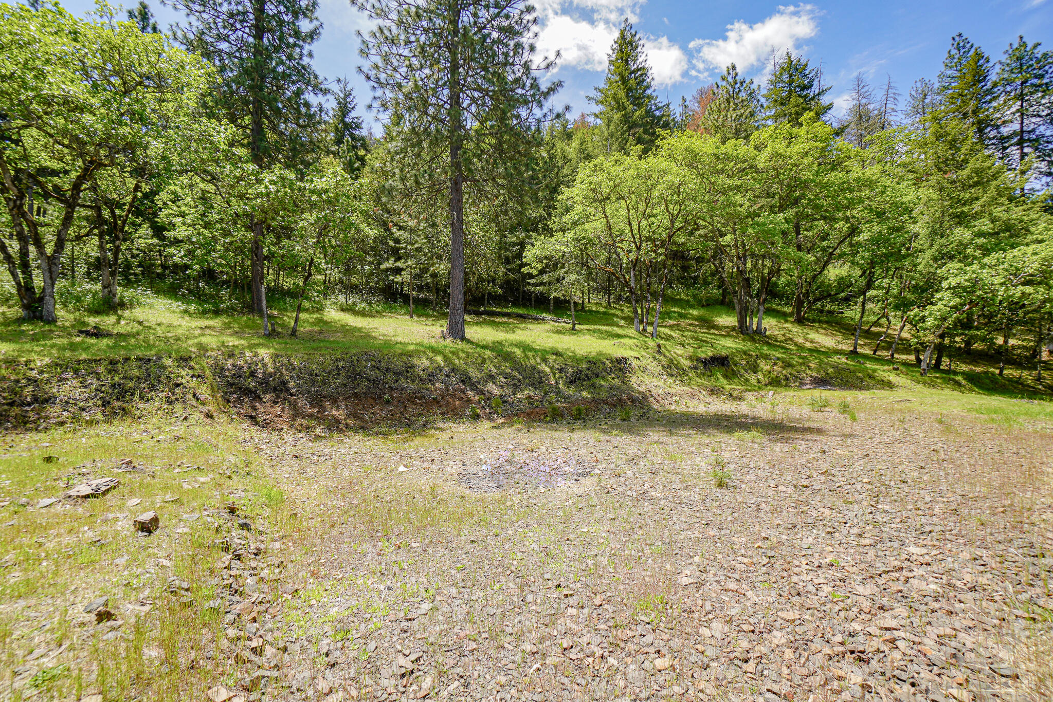 1729 Wren Ridge Drive Eagle Point, OR 97524 - Photo 7 of 21 DSC09572
