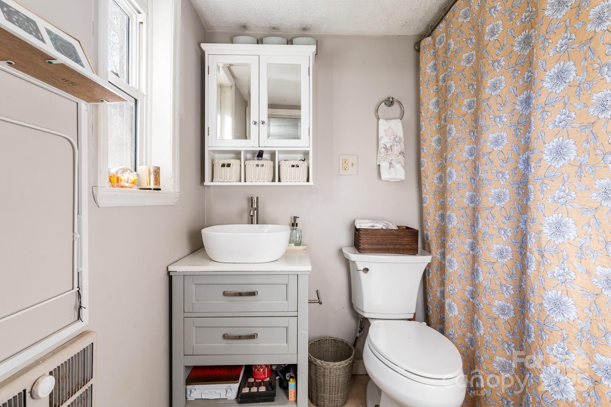 14 Sluder Branch Road Candler, NC 28715 - Photo 16 of 21 a bathroom with a sink a toilet and a mirror