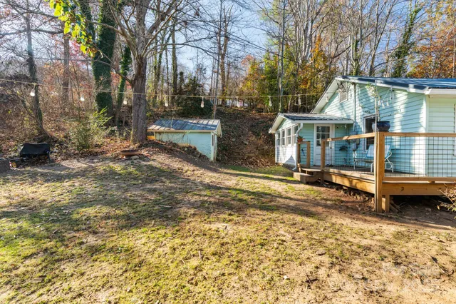 a view of a yard with a large tree in it