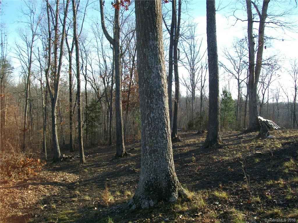 389 Enon Church Road Smyrna, SC 29743 - Photo 14 of 25