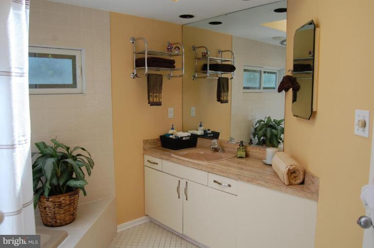 1665 Cedar Hollow Way Reston, VA 20194 - Photo 21 of 26 Master Bath #2
