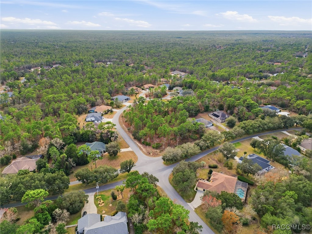 2 Nephthytis Court Homosassa, FL 34446 - Photo 14 of 21