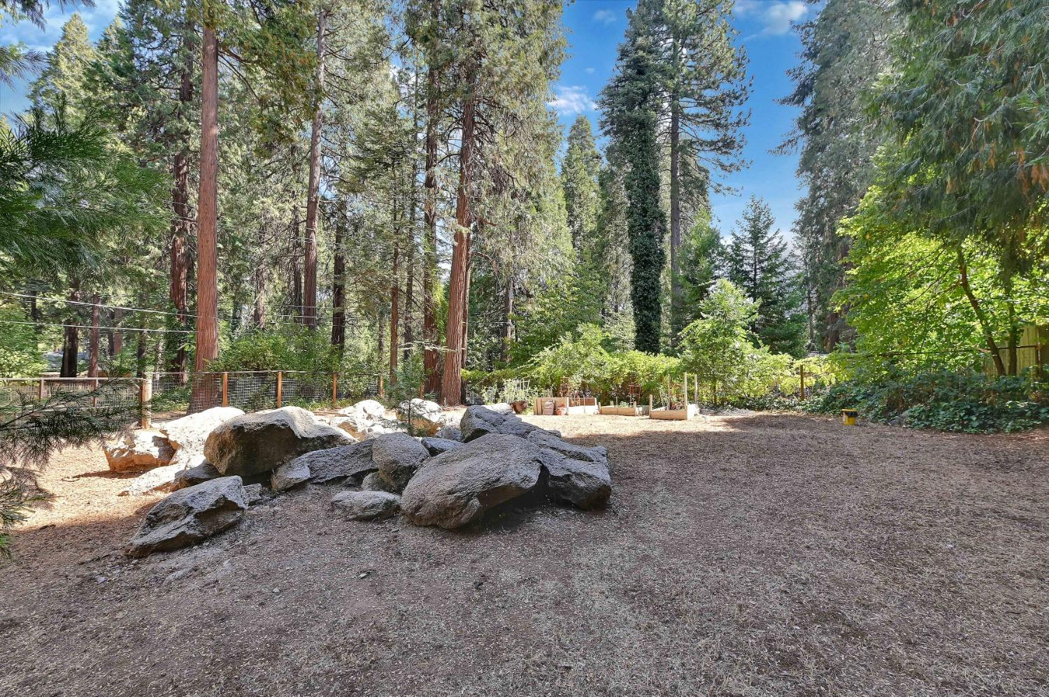 6016 Pony Express Trail Pollock Pines, CA 95726 - Photo 24 of 53 a view of backyard with outdoor space