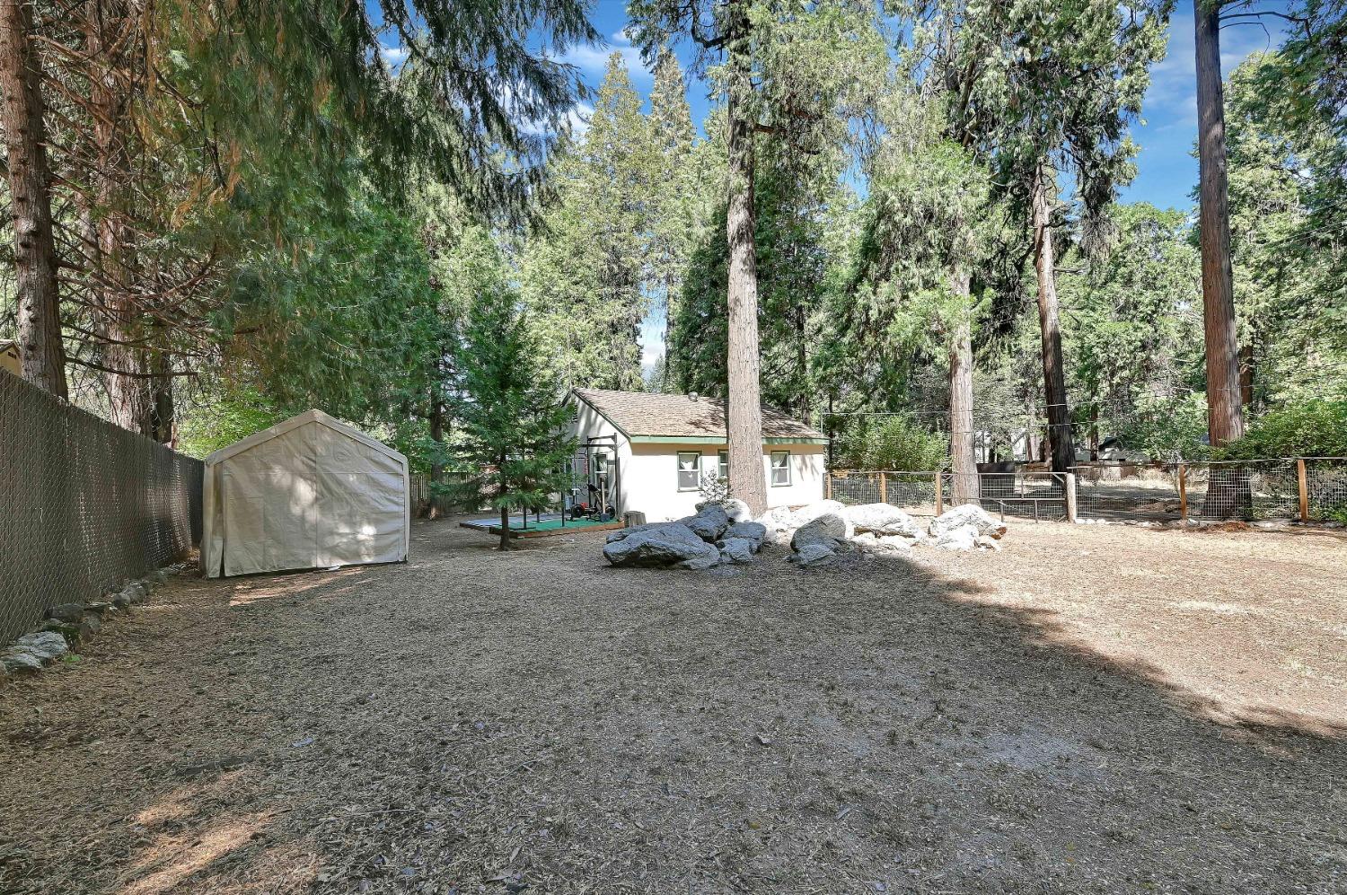 6016 Pony Express Trail Pollock Pines, CA 95726 - Photo 25 of 53 a view of a outdoor space with a house and large tree