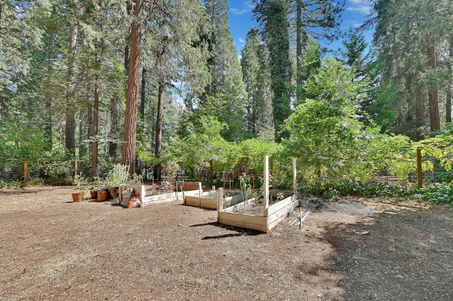 6016 Pony Express Trail Pollock Pines, CA 95726 - Photo 26 of 53 a view of a park with large trees
