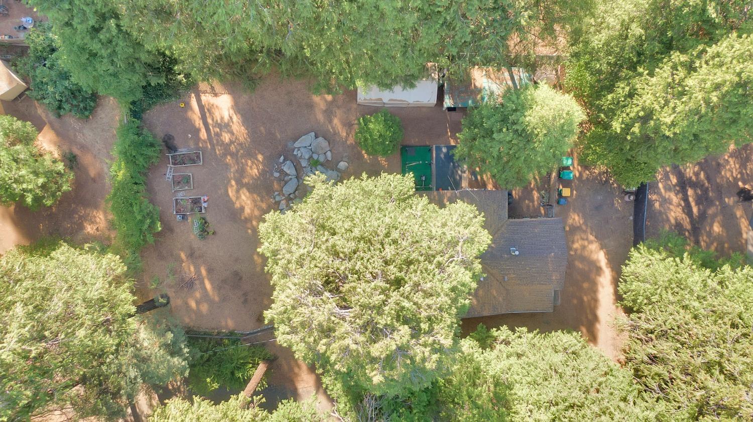 6016 Pony Express Trail Pollock Pines, CA 95726 - Photo 34 of 53 a view of a garden with large trees