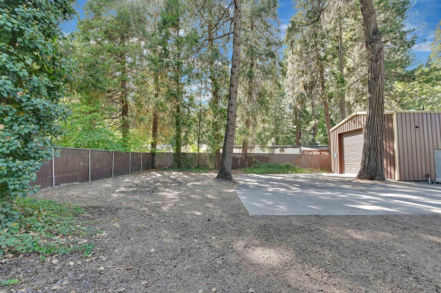 6016 Pony Express Trail Pollock Pines, CA 95726 - Photo 49 of 53 a backyard of a house with lots of green space