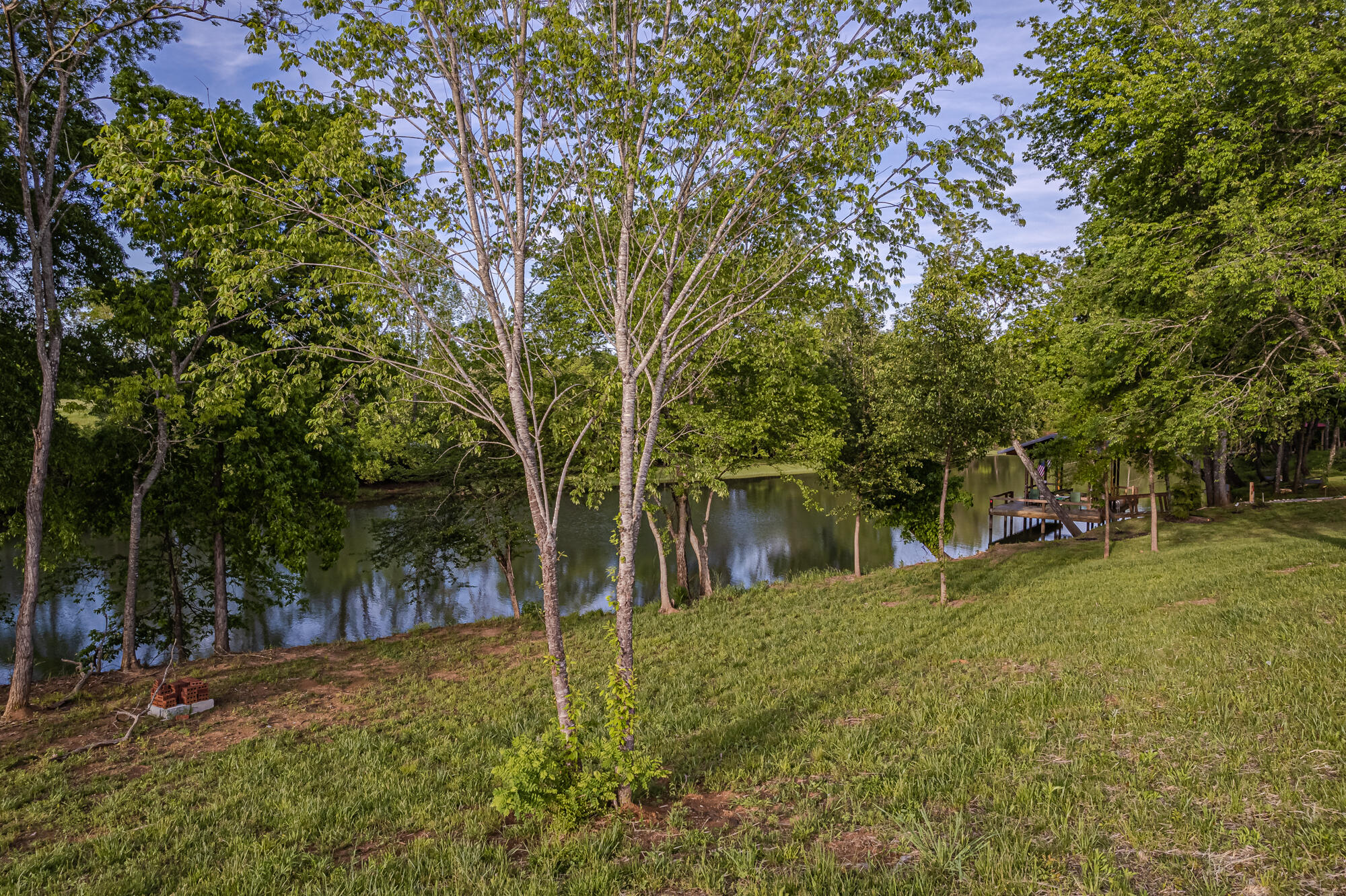 760 Espalier Drive, Unit 37 Decatur, TN 37322 - Photo 9 of 57 Dockable Lake Access
