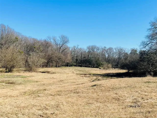 a view of ocean view with trees