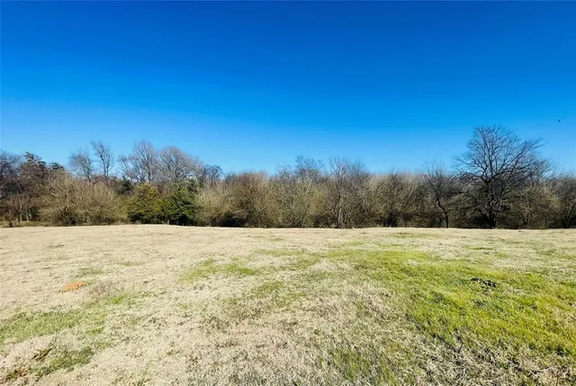 a big yard with trees in the background
