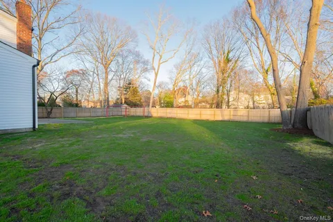 a view of yard with trees